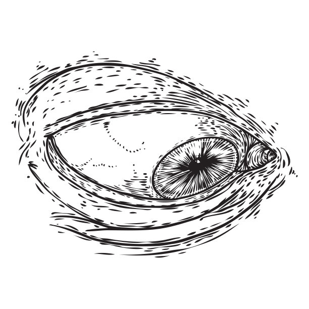 手绘的真人眼睛，有眼睑和虹膜。人类的感觉器官。设计元素为女性化妆，光学，水疗或沙龙为各种业务和营销项目。向量。图片下载