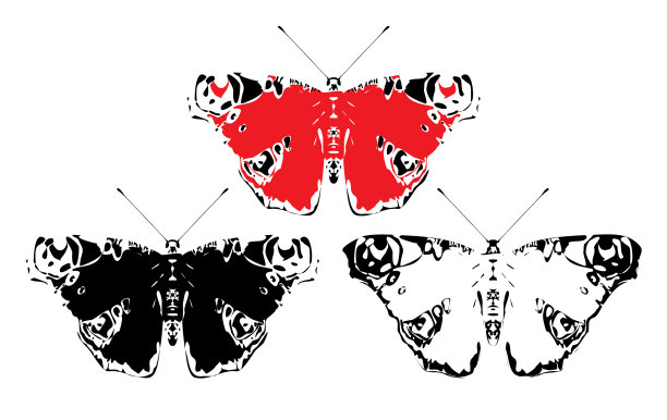 三只孔雀眼蝴蝶张开翅膀图片下载