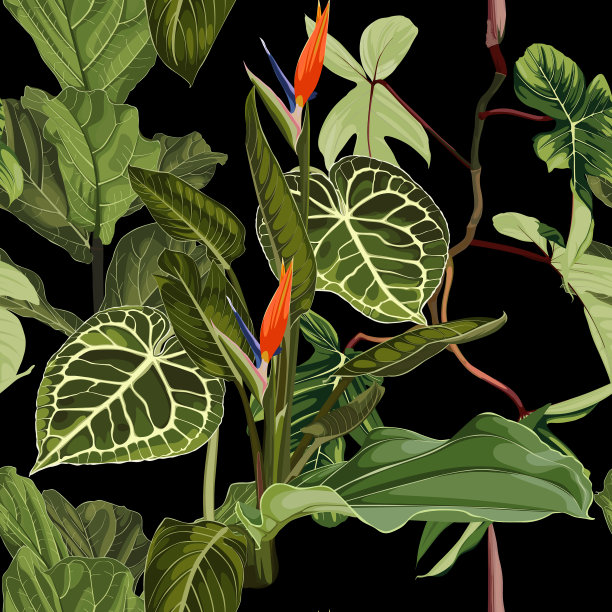 不同的绿色植物棕榈树在花盆缝图片下载