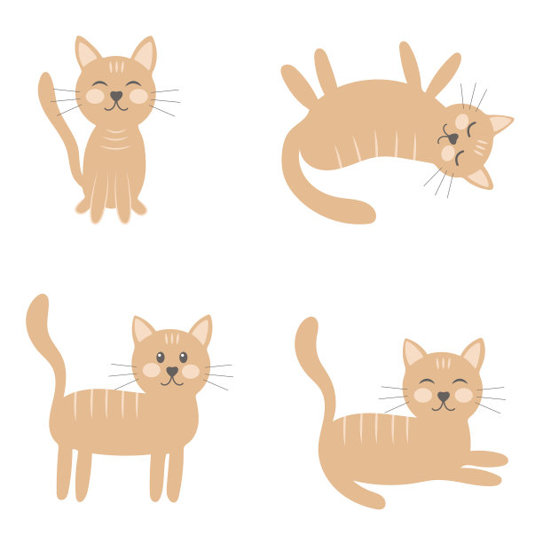 让猫摆出不同的姿势图片下载