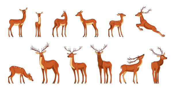 可爱的鹿，有鹿角图片下载