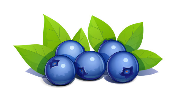 带叶子的蓝莓图片下载