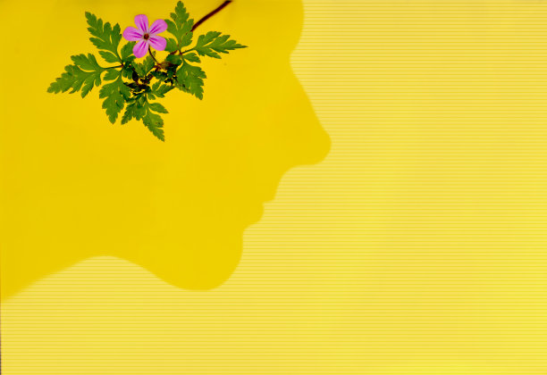 人与自然的概念性工作。黄色背景上的花朵和一个男人的头部剪影。图片下载