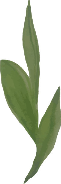 花剪贴画图片下载