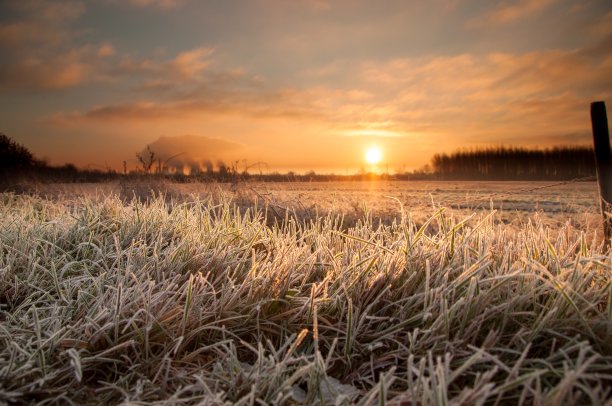 寒冷的冬天早晨图片下载