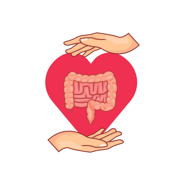 照顾你的肠道图片下载