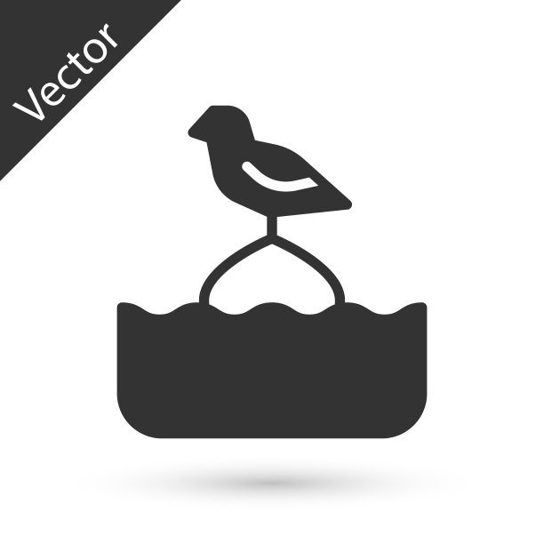 灰色的海鸥坐在浮标上的海上标志图片下载