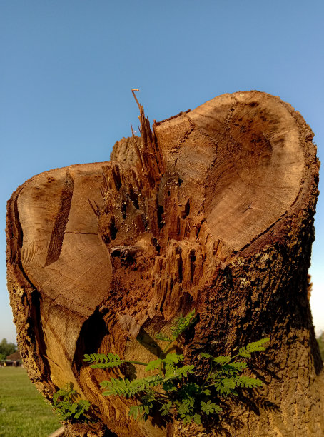 具有环形截面图片下载