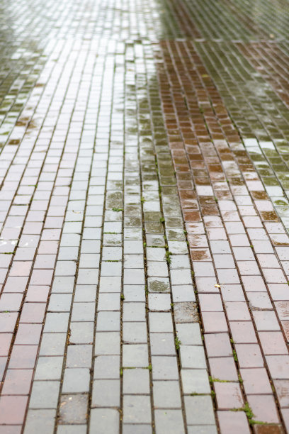 纹理的城市街道两旁铺着石头，被雨水打湿了。图片下载
