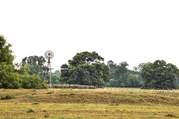 FM 1459风车图片下载