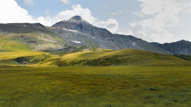 Pizzo Scalino主宰着草地。图片下载