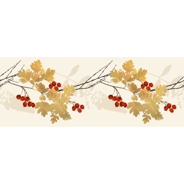 秋天与山楂的叶子和浆果紧密相连图片下载