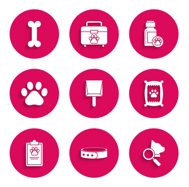 设置畚箕项圈与姓名标签兽医图片下载