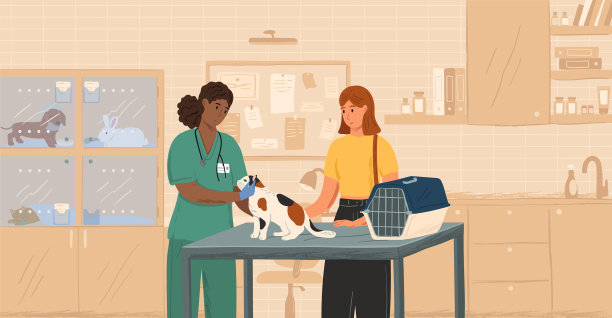 黑色女兽医检查猫概念图片下载