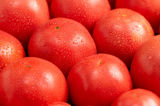 新鲜美味的西红柿图片下载