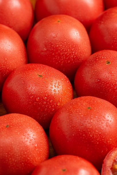 新鲜美味的西红柿图片下载