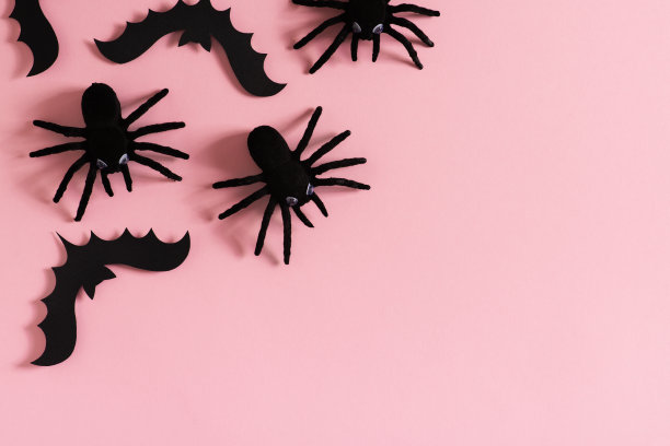 万圣节卡片与黑色的蜘蛛，蝙蝠在粉红色的背景图片下载