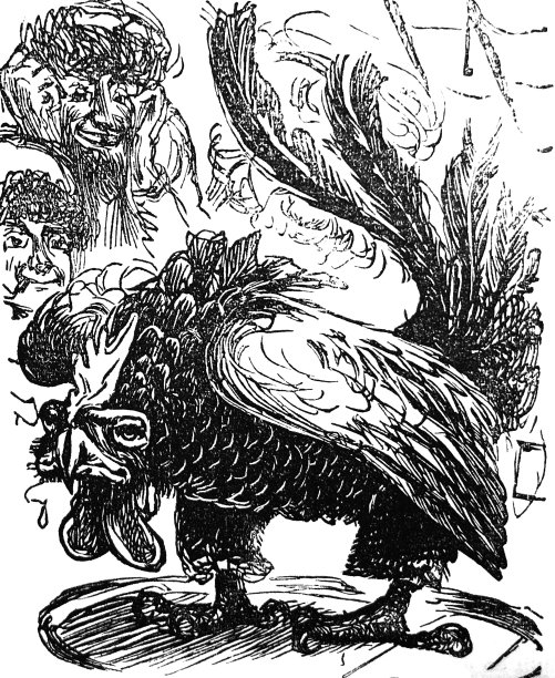 英国讽刺漫画漫画插图——大型秃鹫的羽毛被剪掉，使它看起来像一只正在斗鸡的鸡图片下载