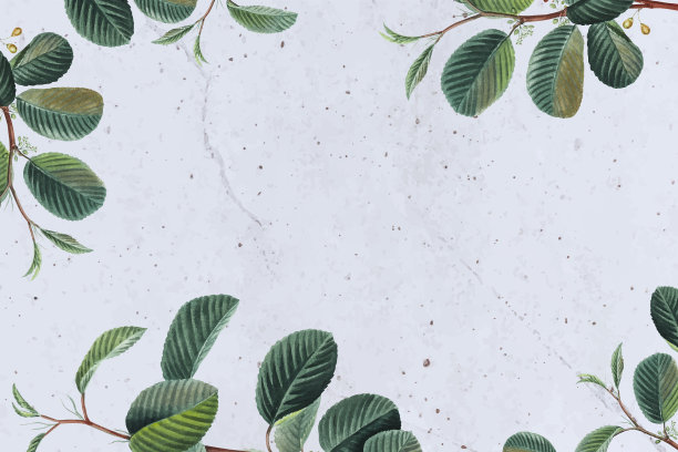 绿叶框架花卉背景图片下载