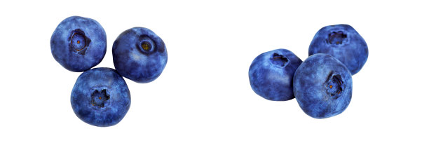 三个不同角度的蓝莓孤立在白色背景上图片下载