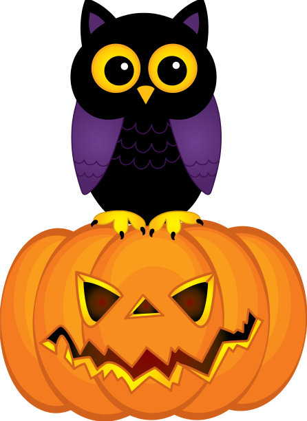 可爱的猫头鹰坐在南瓜上万圣节南瓜图片下载