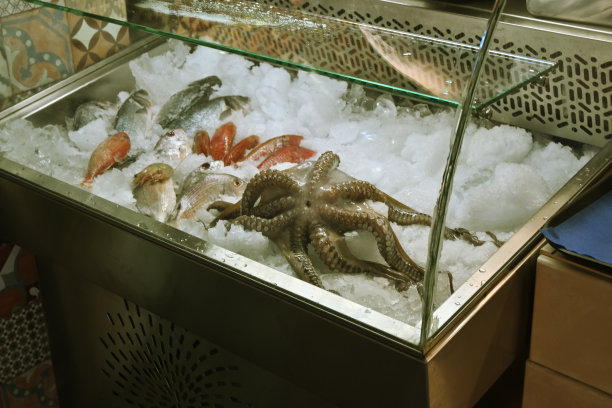 冰柜里的章鱼和鱼。海洋食品的概念。图片下载