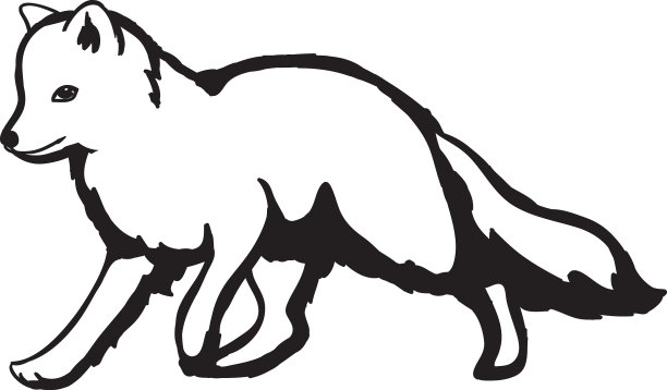 狐狸在雪地里猎跑，北极狐带着图片下载