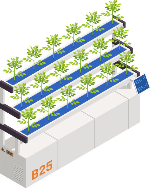 空间植物组成图片下载