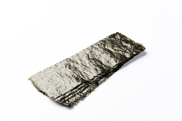 日本紫菜(海藻)图片下载