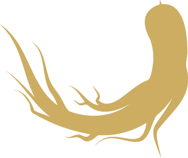 人参图标设计模板图片下载