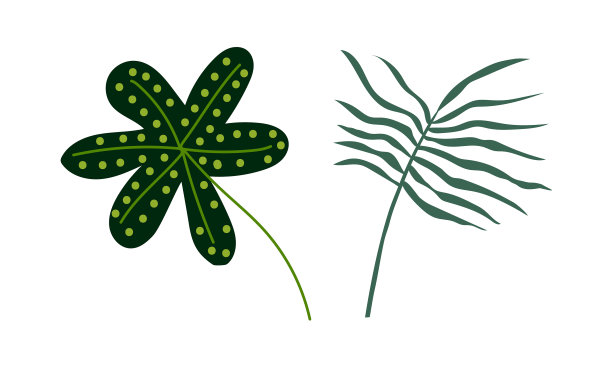 茎上的热带绿叶，为异域植物图片下载