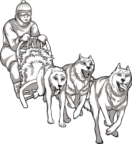 雪橇狗动物助手线性绘画狗图片下载