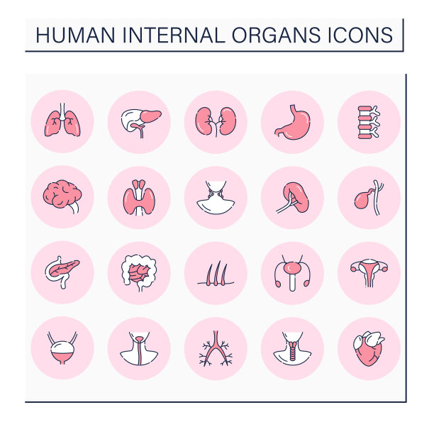 人体内部器官颜色图标设置图片下载