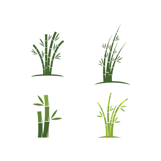 绿叶竹图片下载