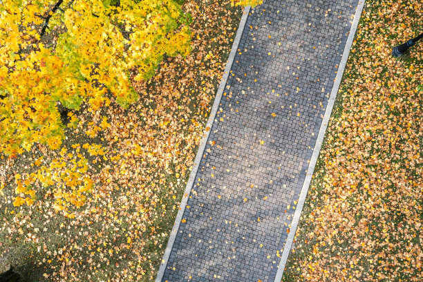 阳光明媚的秋天公园里的小路，人行道上飘落着黄色的落叶。空中俯视图图片下载