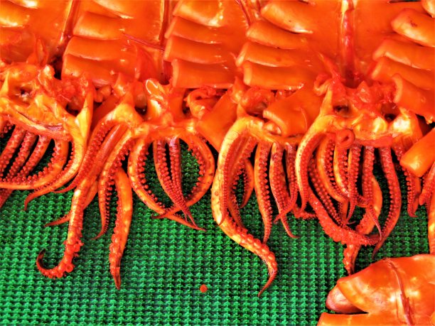 日本。8月。烤章鱼图片下载