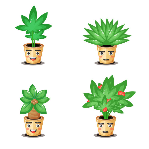 可爱的盆栽植物图片下载