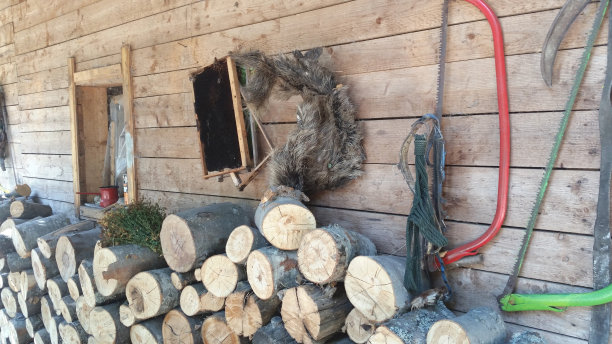 木房子背景与树桩，蜂巢和工具。白天阳光灿烂的照片。图片下载