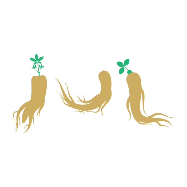 人参图标集设计模板图片下载