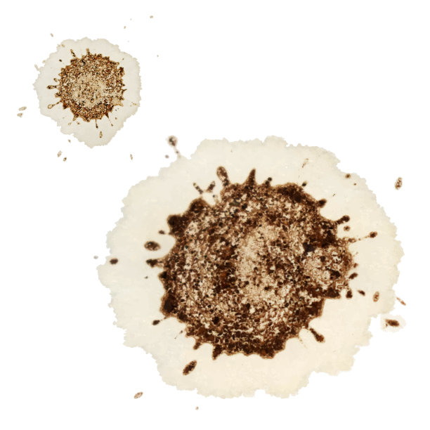 白纸上有咖啡渍图片下载