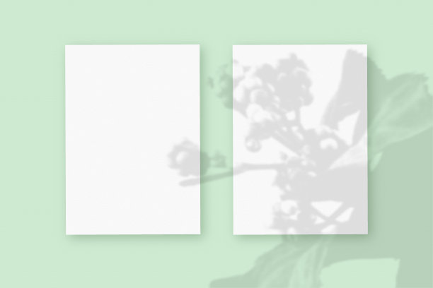 自然光将植物的阴影投射在两张垂直的白色纹理纸上，躺在绿色纹理背景上。模型图片下载