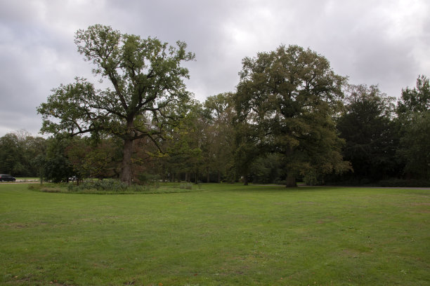 荷兰贝多芬市政厅前的公园图片下载