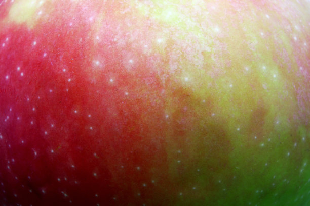 极端特写红色和绿色苹果背景图片下载