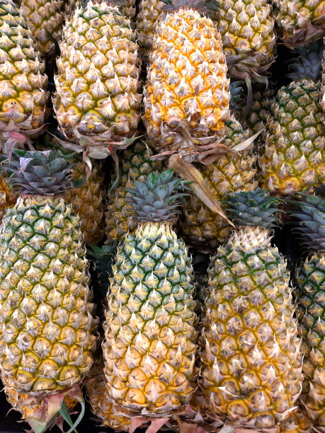 菠萝放在托盘里在市场上出售，菠萝从花园寄给消费者，背景图片。图片下载