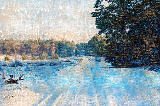 覆盖着积雪的森林道路上的深深的车辙轮胎印脱落图片下载