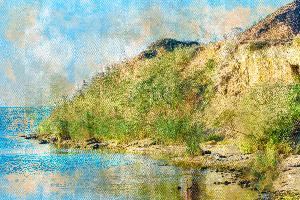 长满绿色芦苇的陡峭的海岸。海岸线年代图片下载