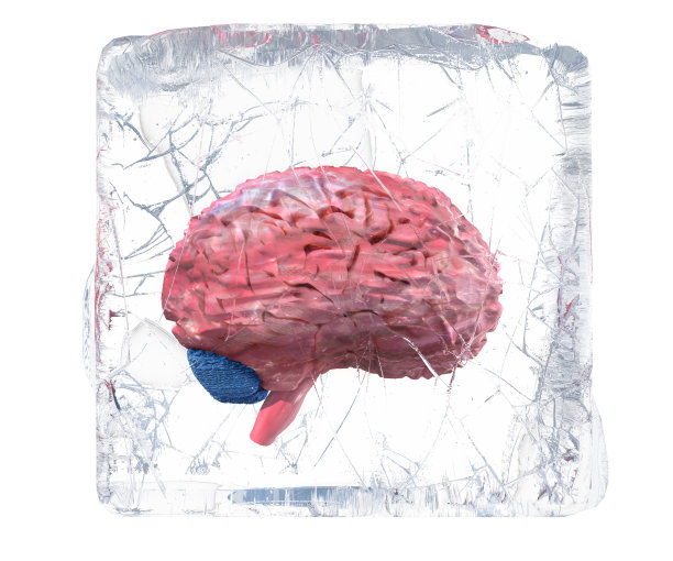大脑与冰。3 d渲染图片下载
