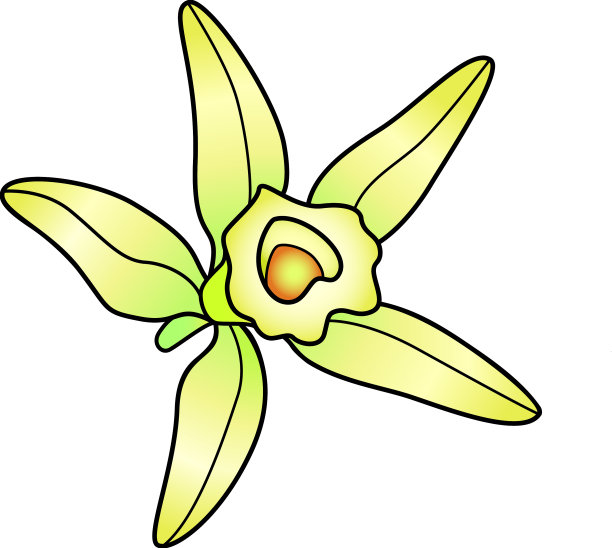 香草花-全彩图片图片下载