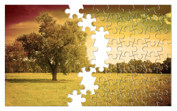 意大利托斯卡纳乡村风景中的一棵孤立的树-拼图形状的环境保护概念图像图片下载