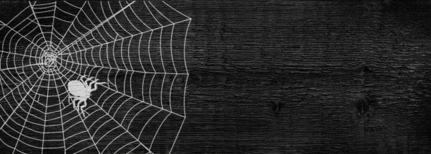蜘蛛网中蜘蛛的轮廓。深色木制背景。万圣节的概念。本空间图片下载